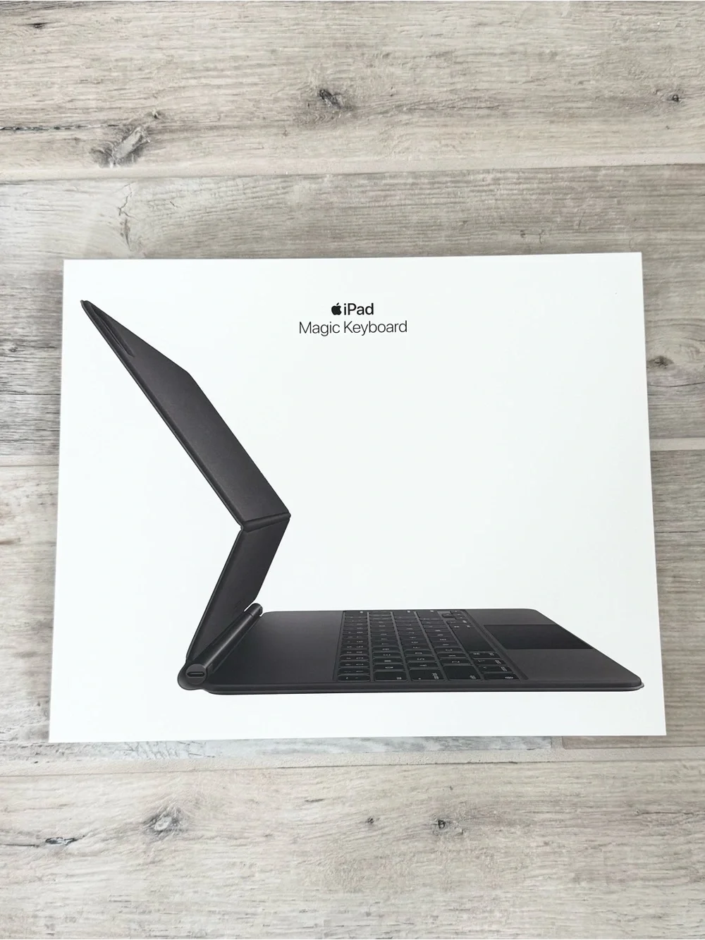 Apple Black iPad Magic Keyboard Case